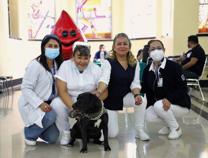 Personal de la campaña itinerante con el embajador canino