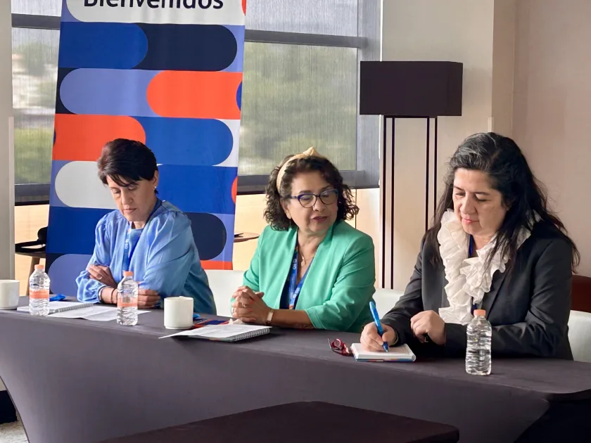 Mesa redonda "Más NY seguridad, menos riesgos"